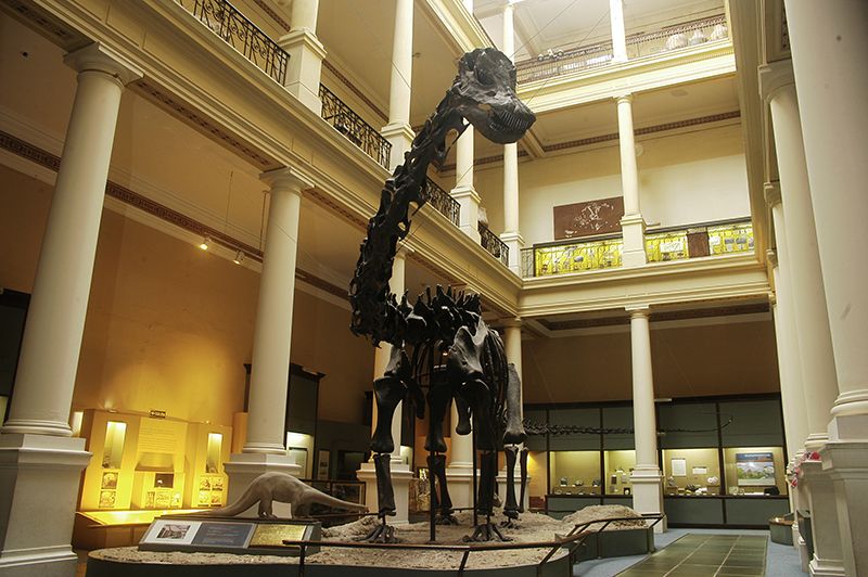 El Museo de La Plata propone una experiencia de aprendizaje lúdica e interactiva.