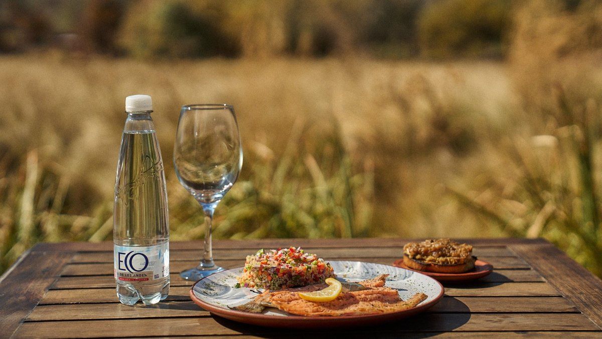 Gastronomía: Maima Café Resto Bar presentará una Trucha al limón con Timbal de Quínoa, en la edición de invierno de Ecos de Alta Montaña.