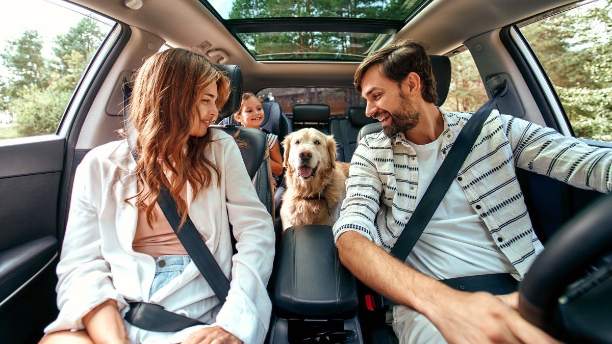 Escapadas con mascotas: dónde ir y cuánto cuesta