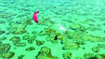 Brasil: el litoral de Rio Grande do Norte sobresale por sus aguas cristalinas. 