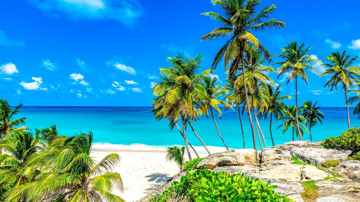 En el corazón del Caribe, Barbados enamora con paisajes, cultura viva y una calidez que no se olvida &nbsp;