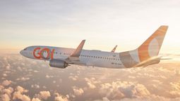 Gol Linhas Aéreas obtiene la última luz verde en su proceso de reestructuración financiera: la de sus accionistas. 