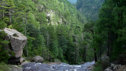 Vive la emoción del ecoturismo en Durango.