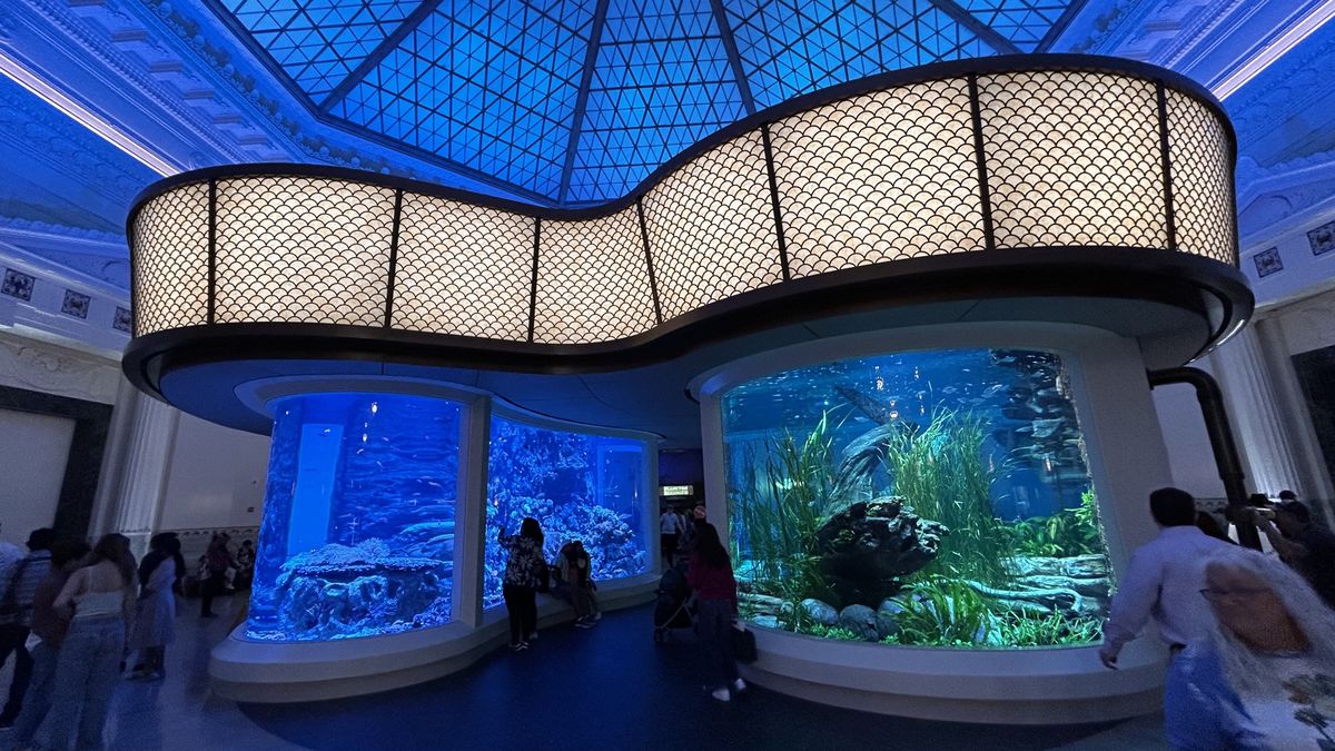 Shedd Aquarium en Museum Campus.