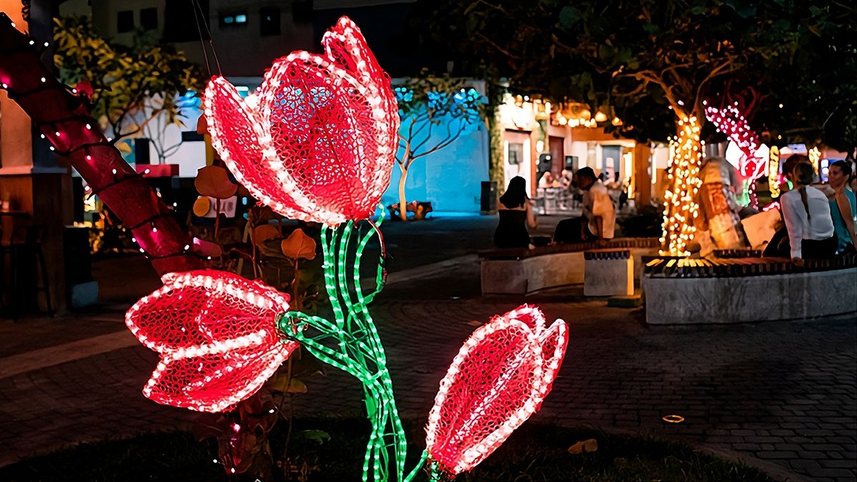 Guayaquil lanzó la nueva experiencia turística y cultural “Panamá Nocturna”, en la calle del mismo nombre.