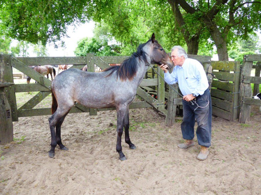 Estancia Los Patos es el lugar ideal para las escapadas de aquellos que aman los caballos.&nbsp;