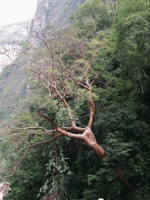 Fam trip de Operadora Turística Sierra Madre en Chiapas.