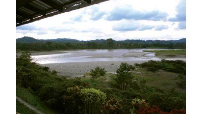 Cuentos de la selva