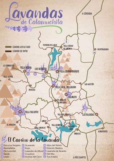 Si estas vacaciones de invierno vas para Villa General Belgrano no dejes de hacerte una escapada por el Camino de la Lavanda, donde podrás probar todo tipo de productos a base de la planta. 