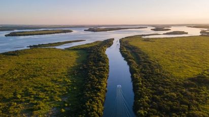 Entre Ríos: conocé el nuevo parque natural que se ha creado en la provincia y es ideal para conocer durante este verano.&nbsp;