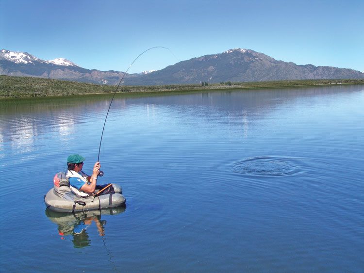 Las truchas suelen presentar una buena competencia para el pescador.