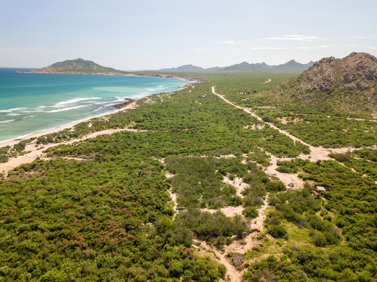 Cabo Pulmo