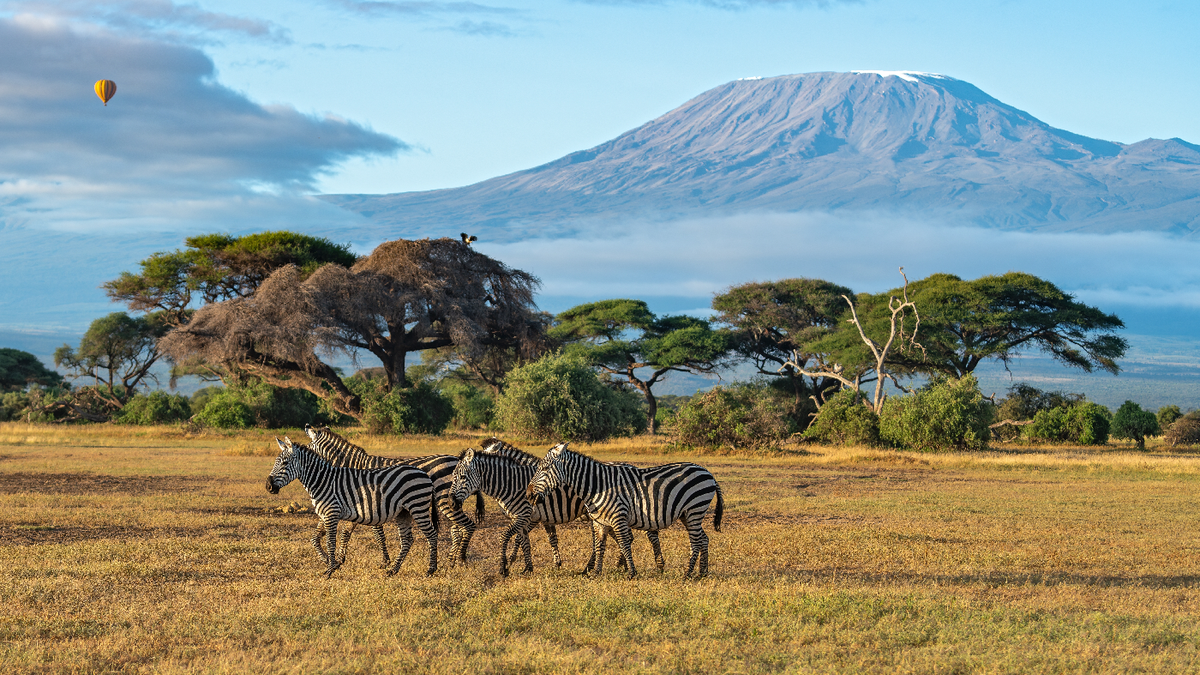 Entre Kenia y Tanzania, los safaris permiten recorrer algunos de los paisajes naturales m&aacute;s impactantes del continente.