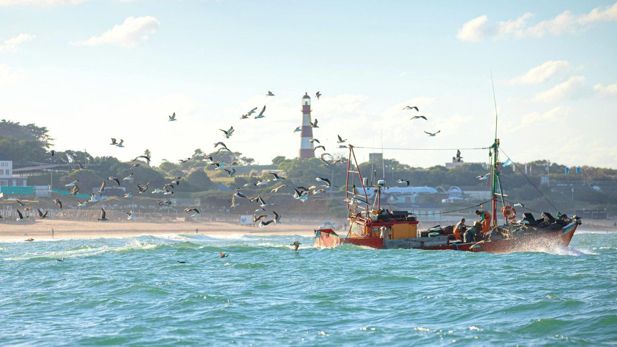 Vacaciones de verano 2026: los hoteles de sindicatos suelen tener tarifas más accesibles.  