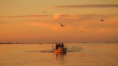 Visitá Madariaga y enamorate de sus paisajes únicos y su rica historia.