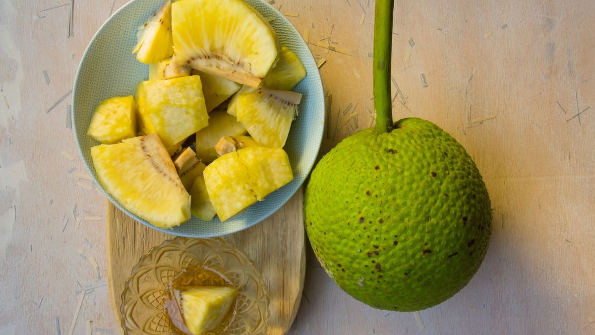 La fruta del pan tiene una preparación propia en Barbados. 