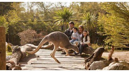 Vacaciones en Temaikèn