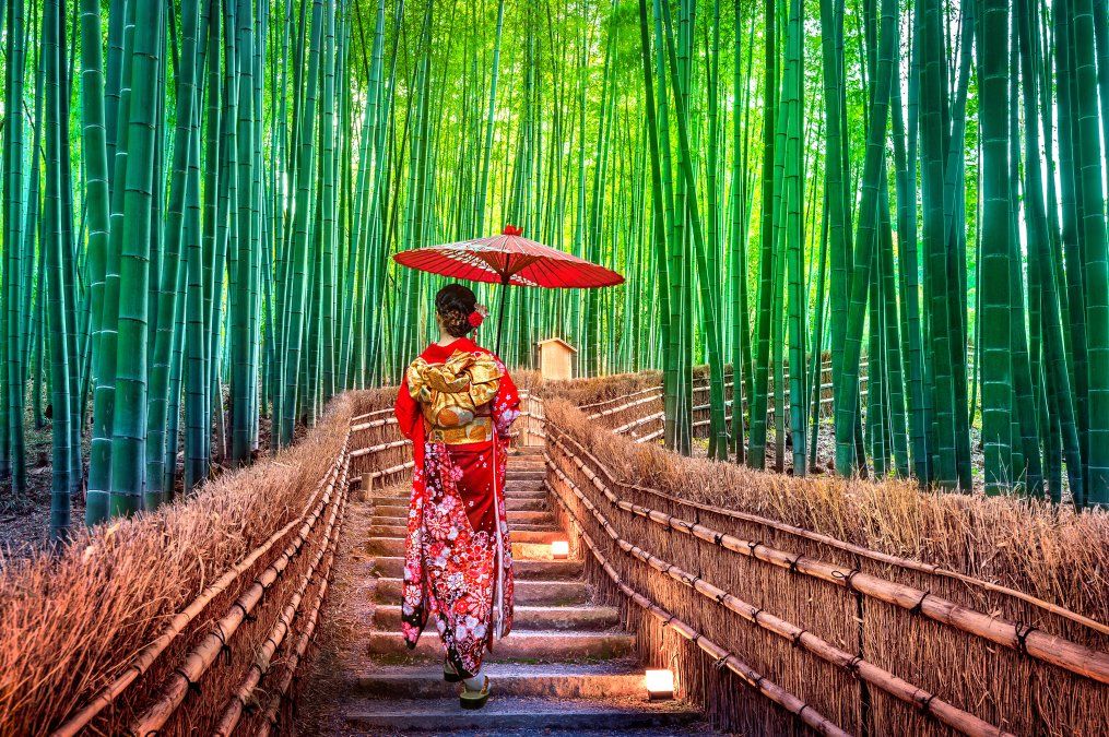 Arashiyama, uno de los atractivos que promueve JNTO.