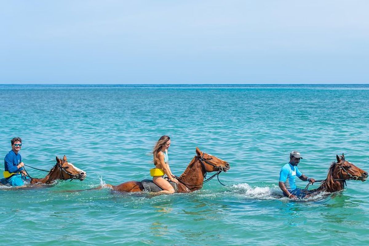 Una de las experiencias más gratificantes de Jamaica es explorar la isla acompañados de un caballo, recorriendo el claro mar y las verdes selvas.