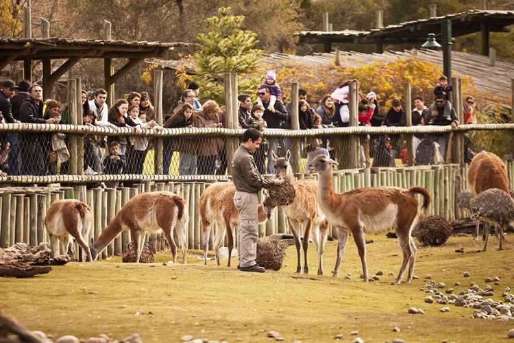 El bioparque organiza varias actividades que combinan el aprendizaje con la diversión.