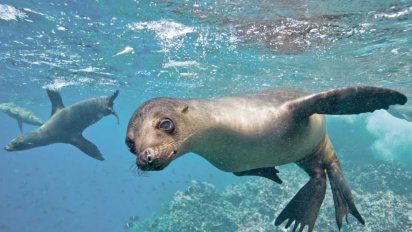 De acuerdo con el presidente de Ahotec, la promoción turística debe enfocarse en destinos específicos.