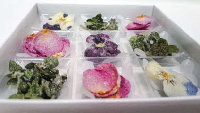 Insumos: flores comestibles para la alta gastronomía