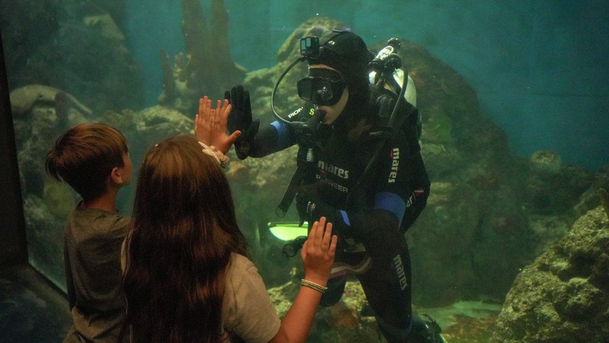 Escapadas desde Buenos Aires: el acuario de Temaikèn organiza actividades educativas programadas. 