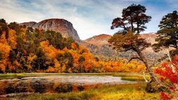 Descubre estos Parque y Reservas Nacionales para enamorarte de Chile en otoño