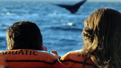Semana Santa en Puerto Madryn: ofrece una gran cantidad de actividades gratuitas que se pueden disfrutar.