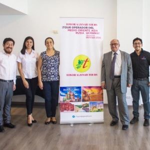 - Ladevi Medios y Soluciones