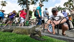 La percepción de inseguridad ha causado la disminución del turismo receptivo en Guayaquil.