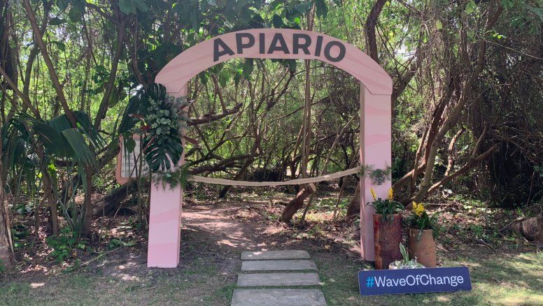 El apiario inaugurado recientemente por Iberostar en el Iberostar Bávaro.