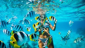 Vacaciones en Punta Cana: República Dominicana tiene muchas excursiones atractivas para disfrutar.&nbsp;