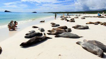 Algo de fauna de Santa Cruz.
