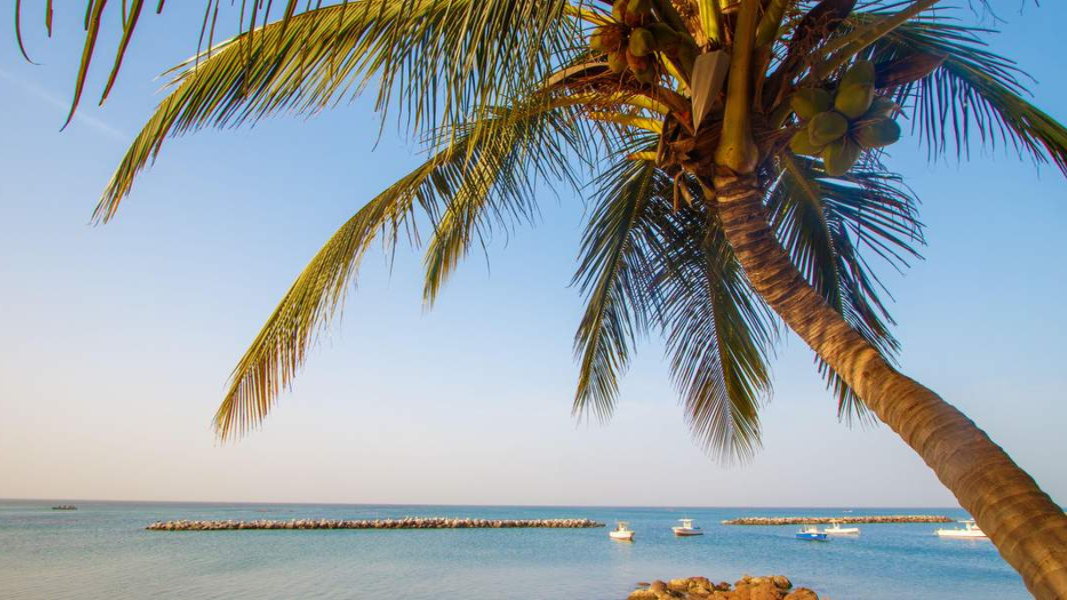 En Senegal encontrarás diversos destinos de sol y playa imperdibles como Saly y Somone. En Senegal encontrarás diversos destinos de sol y playa imperdibles como Saly y Somone.