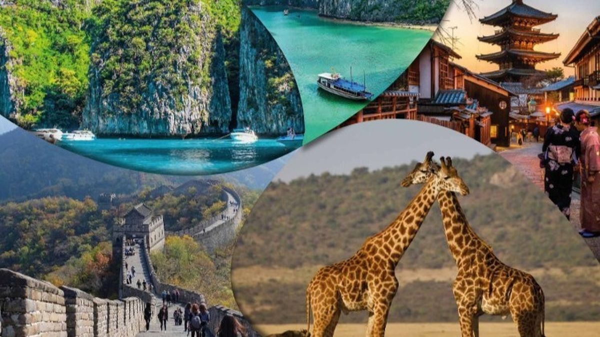 Atractivos productos diferenciales de Volando Viajes.