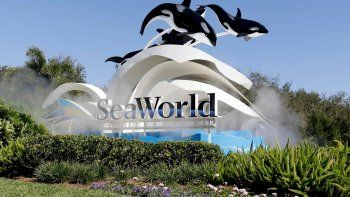 SeaWorld celebra 60 años con fiestas y novedades en sus tres parques de Estados Unidos