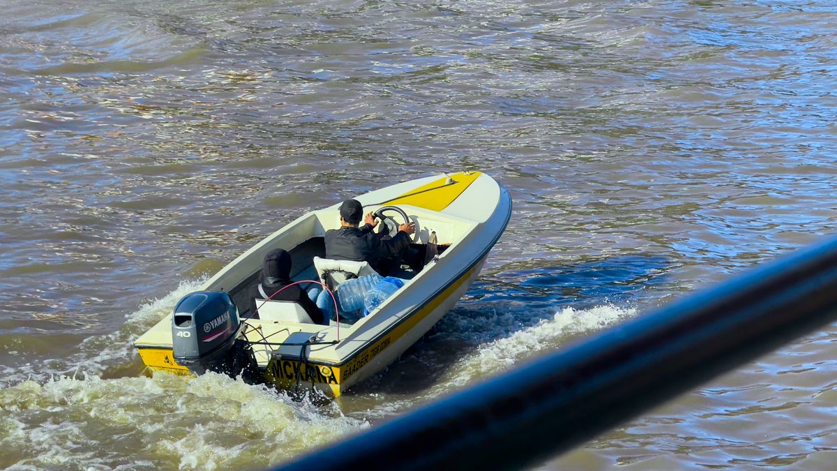 Tigre es un destino ideal para escapadas durante el verano con propuestas como tours gratuitos y paseos en catamarán por el Delta.