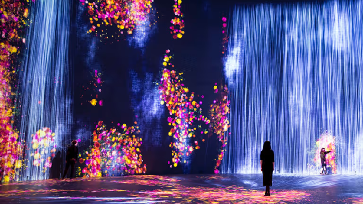 Disfruta una de las ciudades más populares de Estados Unidos de forma diferente.