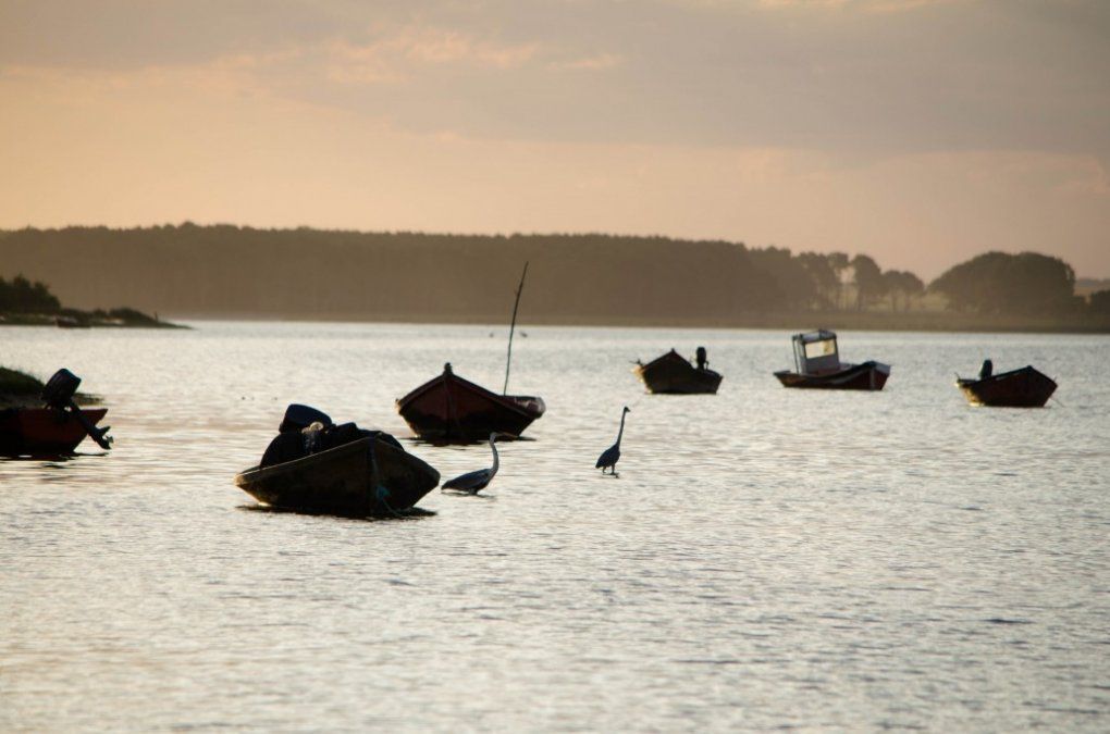 La laguna de Rocha ofrece variedad de fauna ictícola que se degustan en los puestos gastronómicos locales.