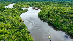 El amazonas peruana ofrece una experiencia inmersiva entre ríos, selva y biodiversidad.