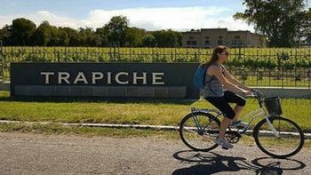 Las visitas a las bodegas en Mendoza pueden incluir paseos en bicicleta.