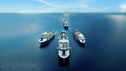 Celebrity Cruises cuenta con 4 series de barcos: Flota Galápagos, Serie Millennium, Serie Solstice y la serie Edge.
