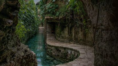 Conoce estos 3 cenotes imperdibles en Yucatán.