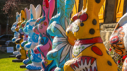 La Semana Santa es una fecha muy especial en Bariloche. Te contamos por qué y todos los detalles para disfrutarla.&nbsp;