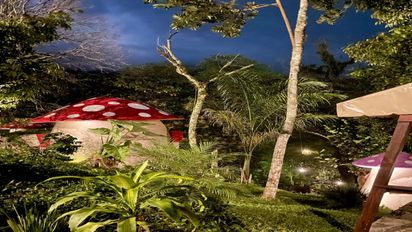 Conoce esta singular aldea en que te podrás hospedar en la huasteca potosina.