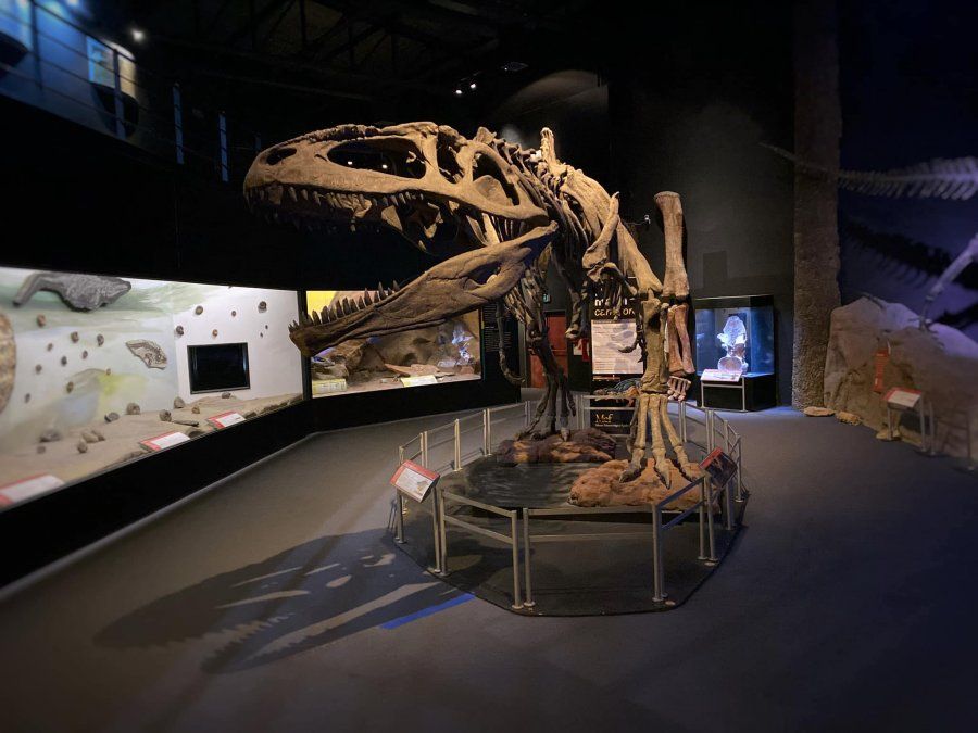 El Museo Paleontológico de Trelew es uno de los mejores de Sudamérica.