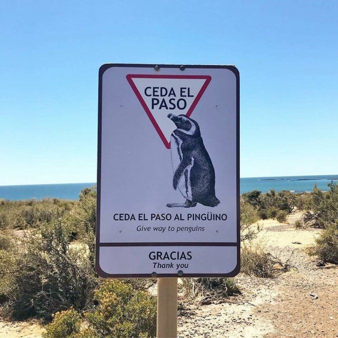 Trelew, pasado ancestral y tradición galesa