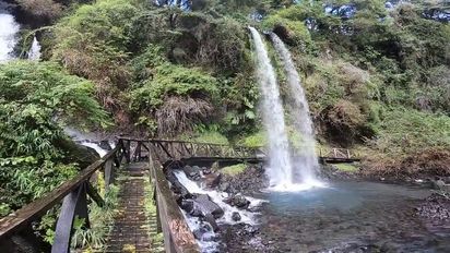 La Reserva Biológica Huilo Huilo protege 100.000 hectáreas de bosque húmedo templado en la cordillera de la Región de Los Ríos.