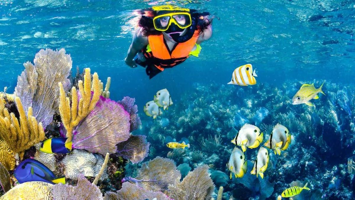 Los Cabos ofrece experiencias imperdibles en Cabo Pulmo.